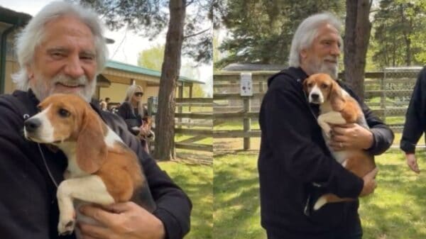 Geezer Butler Saving Beagles 2026